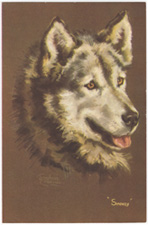 Vintage calendar/poster prints of dogs